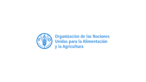 Especialista en Monitoreo Restauración de Ecosistemas – FAO